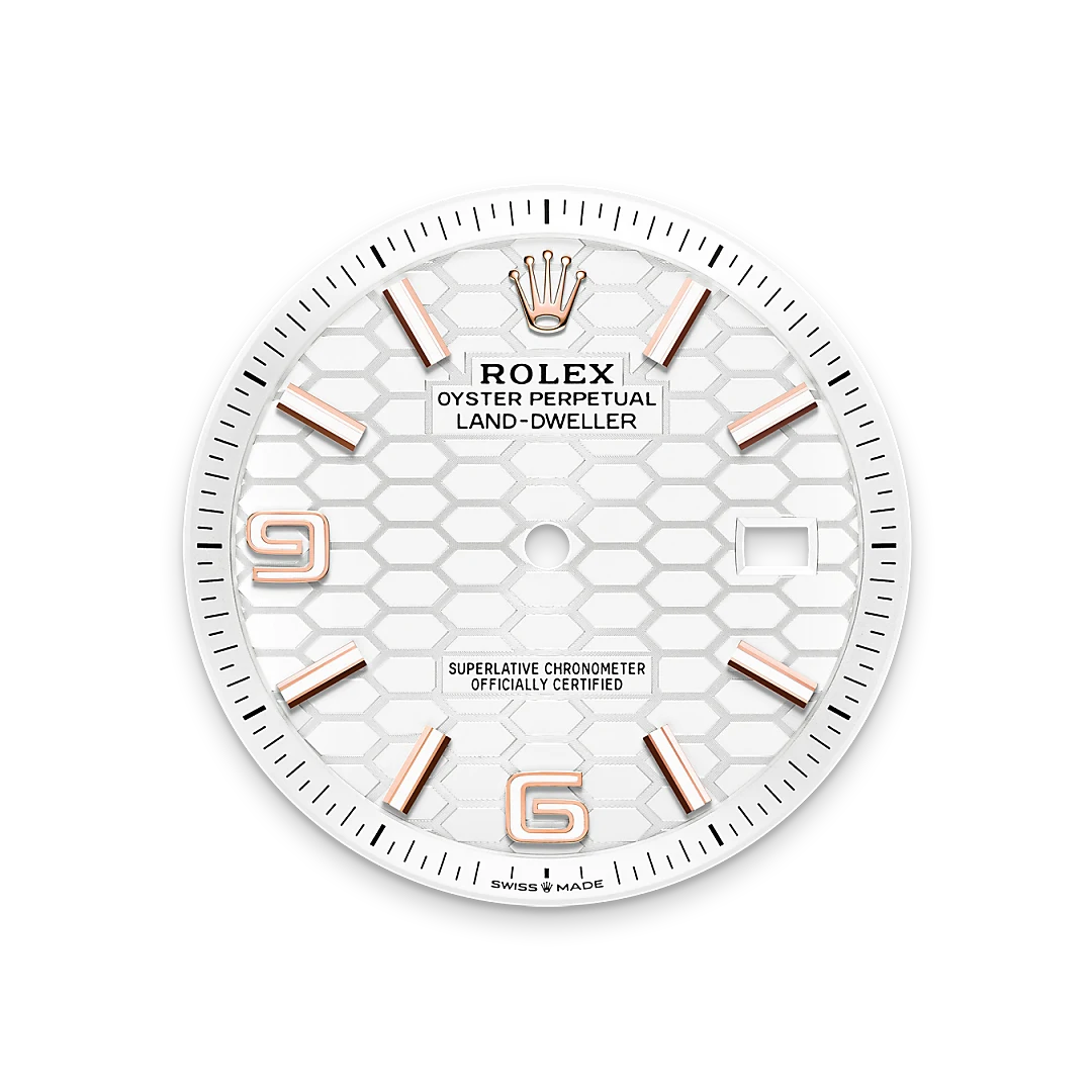 Rolex Land-Dweller 40 m127335-0001 Esfera blanco intenso