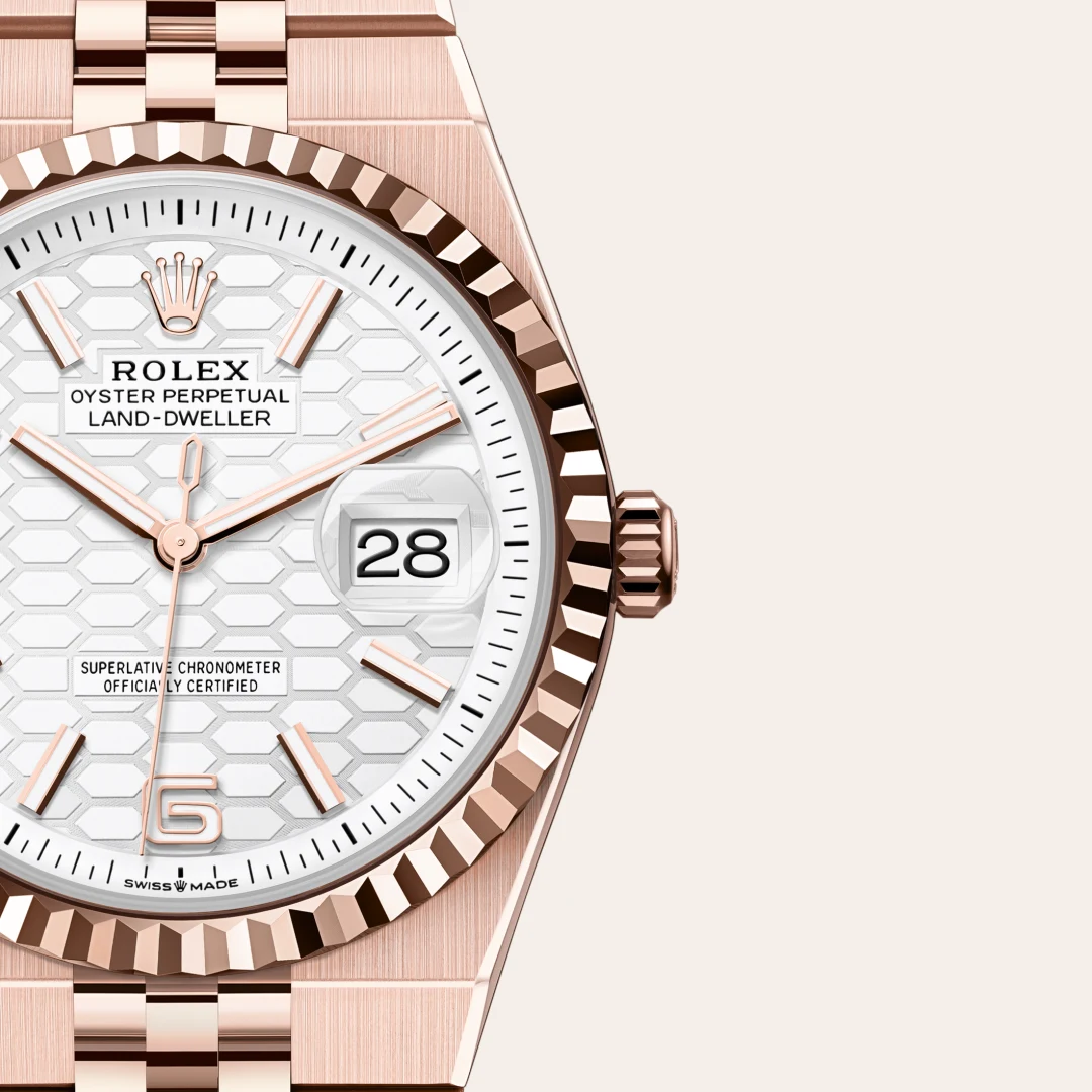 Rolex Land-Dweller m127235-0001 reloj galeria